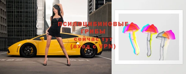 мяу мяу мука Абаза